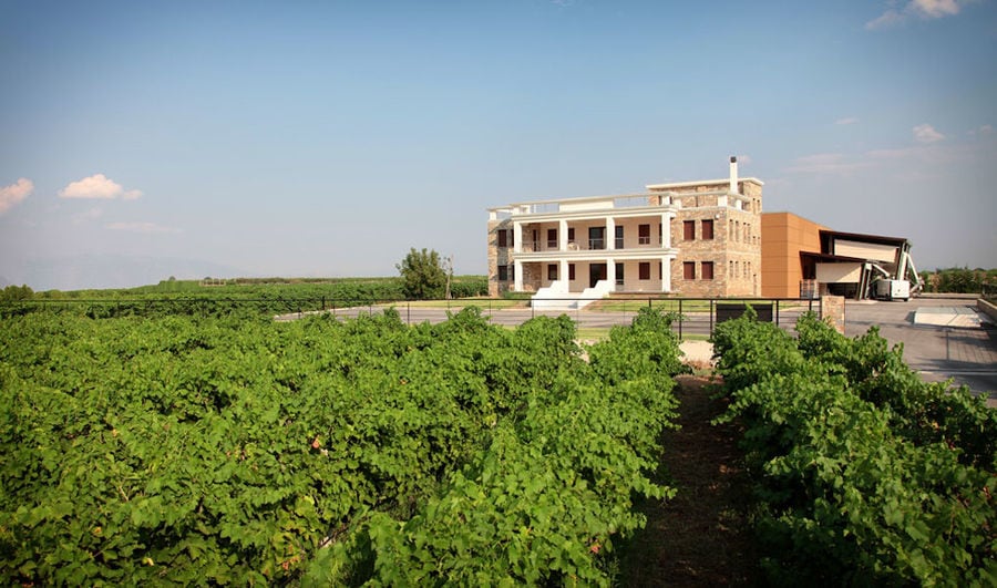 front view of 'Domaine Migas' building with two floors surronded by vineyards